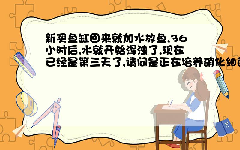 新买鱼缸回来就加水放鱼,36小时后,水就开始浑浊了,现在已经是第三天了,请问是正在培养硝化细菌吗