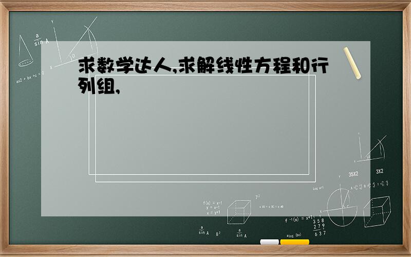 求数学达人,求解线性方程和行列组,