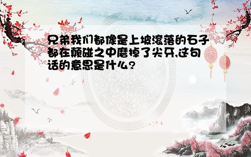 兄弟我们都像是上坡滚落的石子都在颠碰之中磨掉了尖牙,这句话的意思是什么?