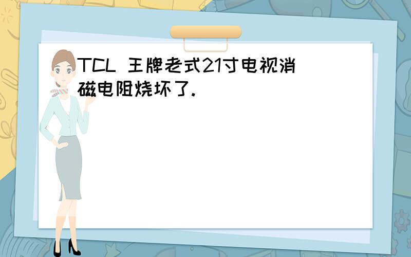 TCL 王牌老式21寸电视消磁电阻烧坏了.