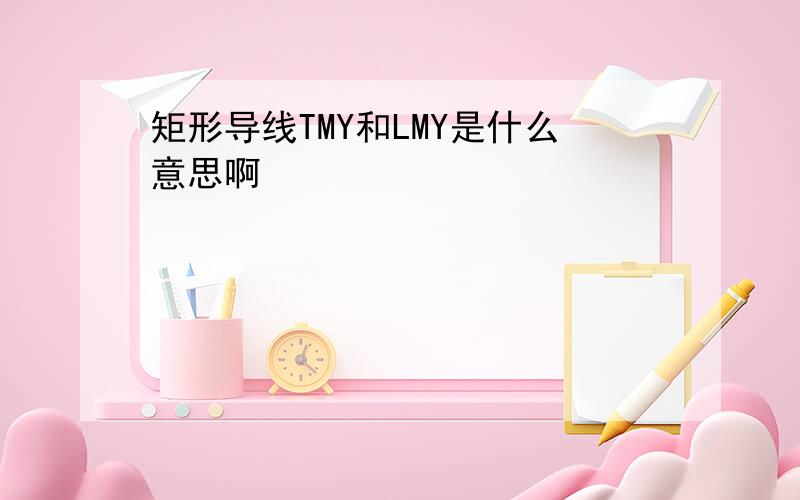 矩形导线TMY和LMY是什么意思啊