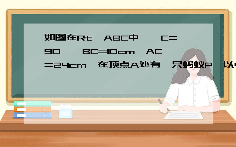 如图在Rt△ABC中,∠C=90°,BC=10cm,AC=24cm,在顶点A处有一只蚂蚁P,以4厘米每秒的速度沿AC方向