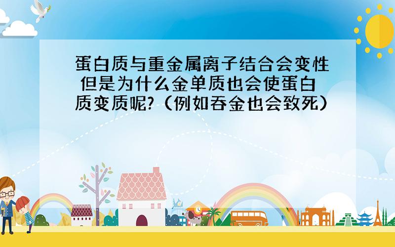 蛋白质与重金属离子结合会变性 但是为什么金单质也会使蛋白质变质呢?（例如吞金也会致死）