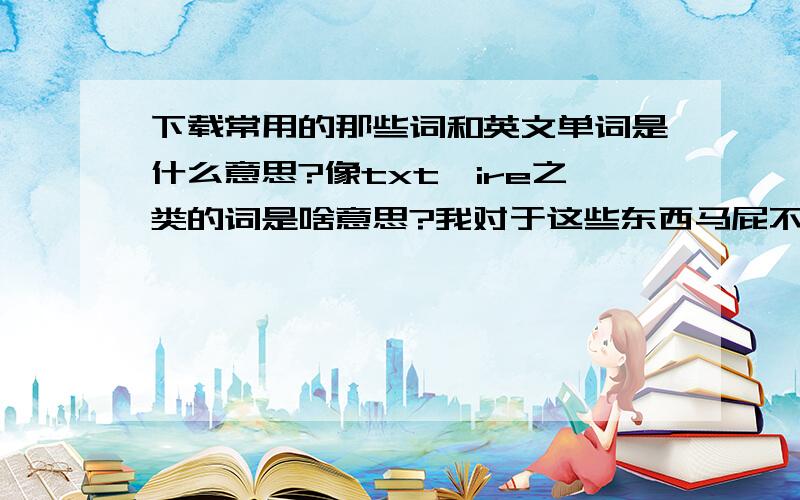 下载常用的那些词和英文单词是什么意思?像txt,ire之类的词是啥意思?我对于这些东西马屁不通啊!