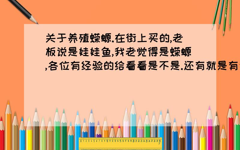 关于养殖蝾螈.在街上买的,老板说是娃娃鱼,我老觉得是蝾螈,各位有经验的给看看是不是.还有就是有毒没?怎么养?吃什么?长的