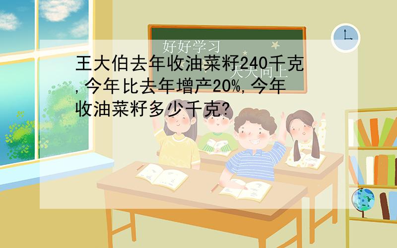 王大伯去年收油菜籽240千克,今年比去年增产20%,今年收油菜籽多少千克?