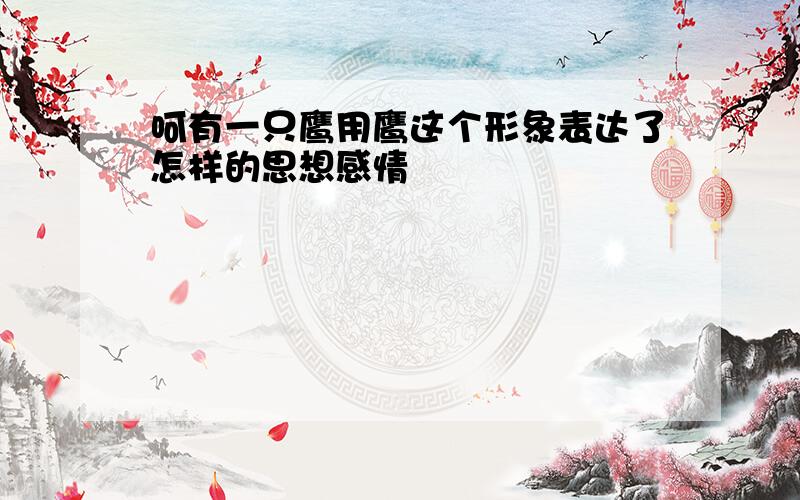 呵有一只鹰用鹰这个形象表达了怎样的思想感情