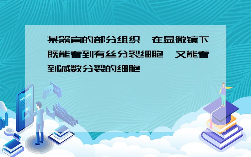 某器官的部分组织,在显微镜下既能看到有丝分裂细胞,又能看到减数分裂的细胞,