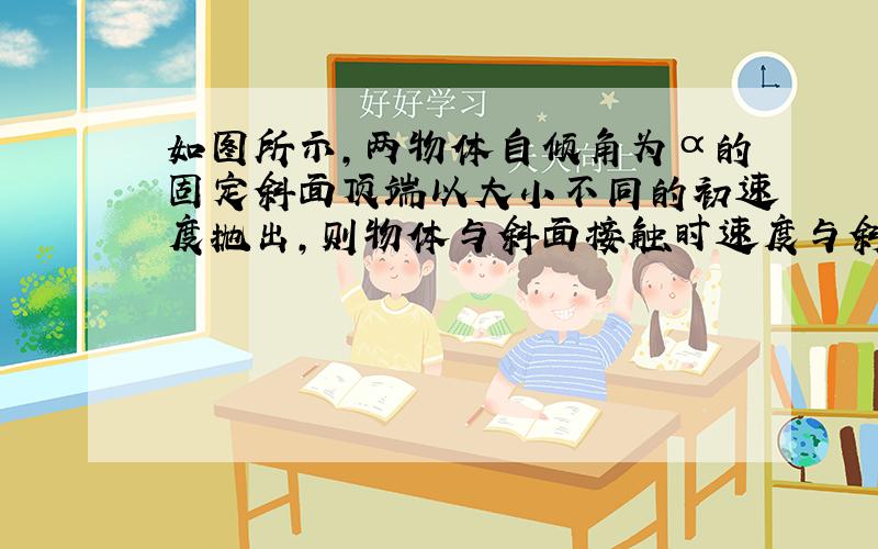 如图所示,两物体自倾角为α的固定斜面顶端以大小不同的初速度抛出,则物体与斜面接触时速度与斜面的夹角