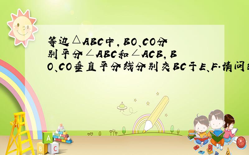 等边△ABC中，BO、CO分别平分∠ABC和∠ACB，BO、CO垂直平分线分别交BC于E、F．请问线段BE、FC是否相等