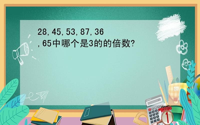 28,45,53,87,36,65中哪个是3的的倍数?