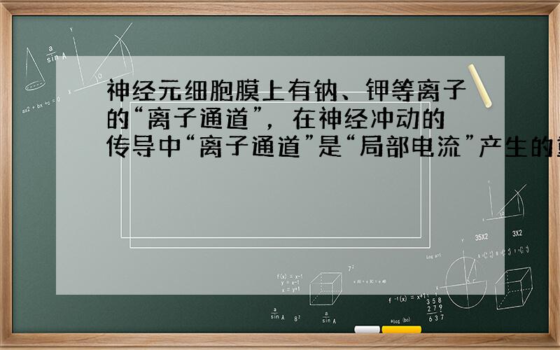 神经元细胞膜上有钠、钾等离子的“离子通道”，在神经冲动的传导中“离子通道”是“局部电流”产生的重要结构基础.蝎毒的神经毒