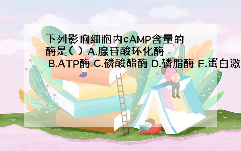 下列影响细胞内cAMP含量的酶是( ) A.腺苷酸环化酶 B.ATP酶 C.磷酸酯酶 D.磷脂酶 E.蛋白激酶 满分：2