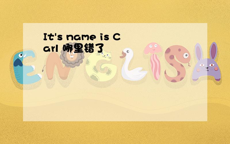 It's name is Carl 哪里错了