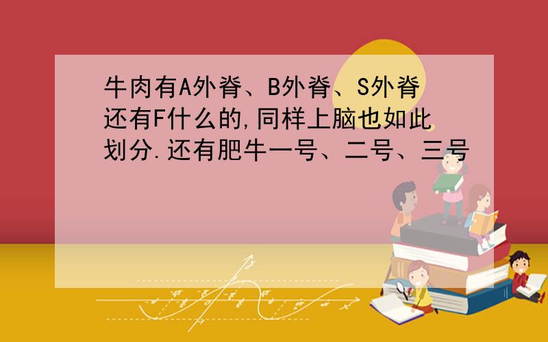 牛肉有A外脊、B外脊、S外脊还有F什么的,同样上脑也如此划分.还有肥牛一号、二号、三号