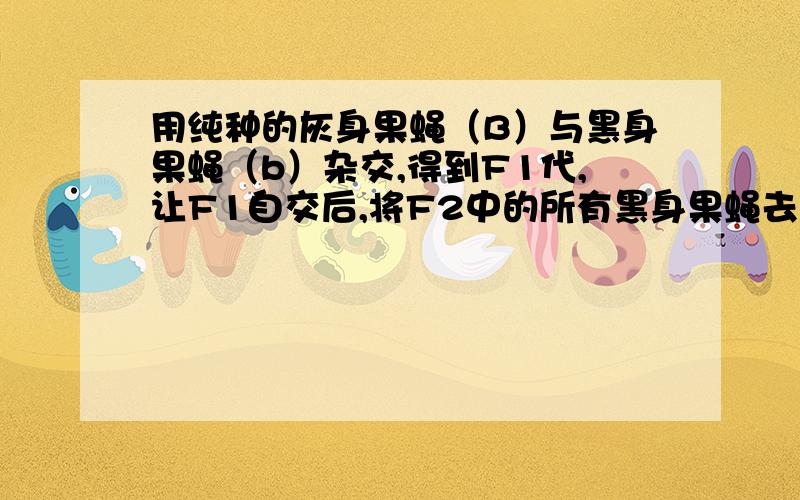 用纯种的灰身果蝇（B）与黑身果蝇（b）杂交,得到F1代,让F1自交后,将F2中的所有黑身果蝇去除,使F2中的所有灰身果蝇