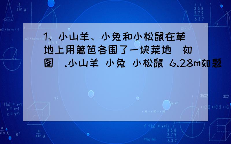 1、小山羊、小兔和小松鼠在草地上用篱笆各围了一块菜地（如图）.小山羊 小兔 小松鼠 6.28m如题