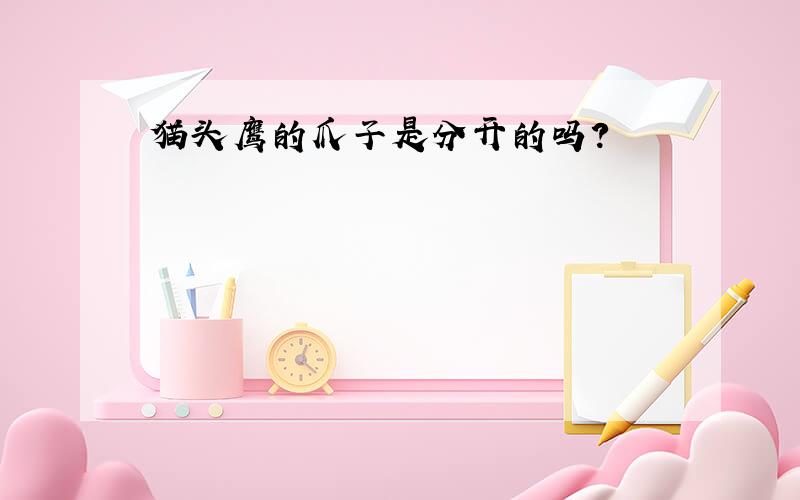 猫头鹰的爪子是分开的吗?