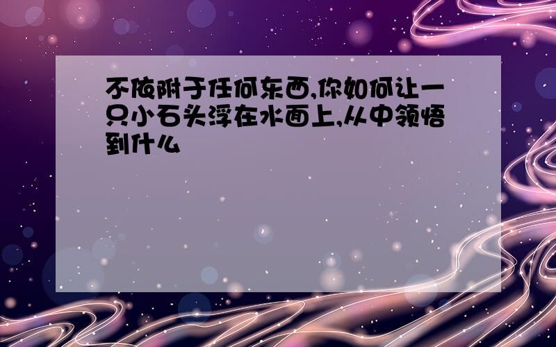 不依附于任何东西,你如何让一只小石头浮在水面上,从中领悟到什么