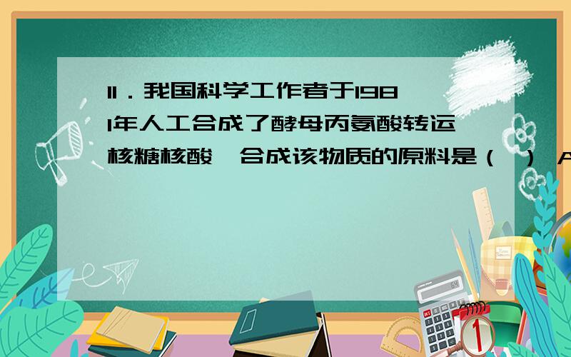 11．我国科学工作者于1981年人工合成了酵母丙氨酸转运核糖核酸,合成该物质的原料是（ ） A．丙氨酸、核糖