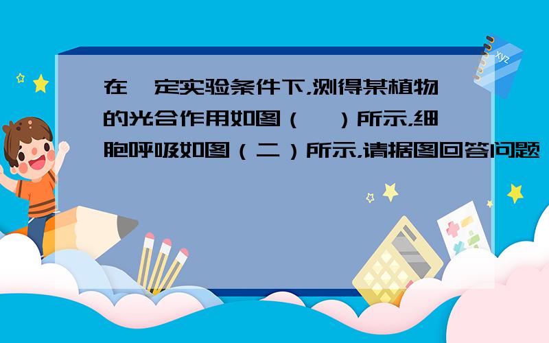 在一定实验条件下，测得某植物的光合作用如图（一）所示，细胞呼吸如图（二）所示，请据图回答问题：