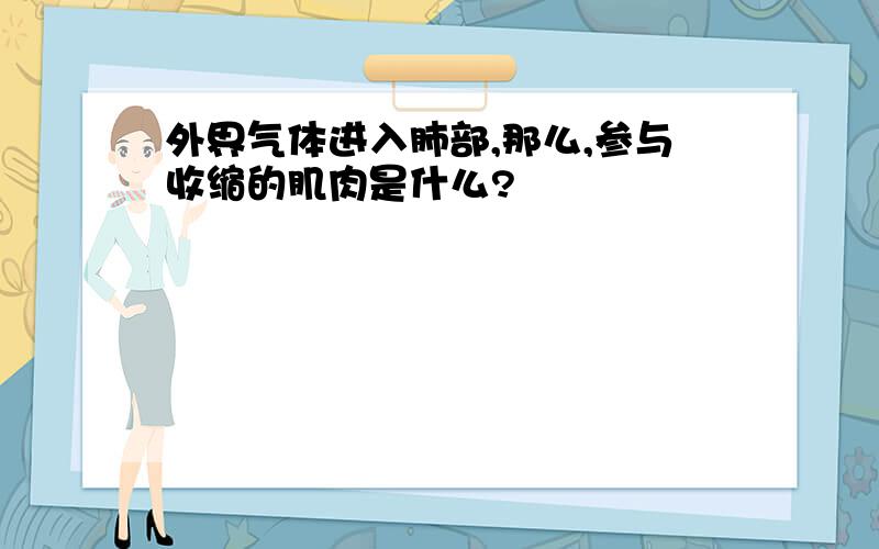 外界气体进入肺部,那么,参与收缩的肌肉是什么?