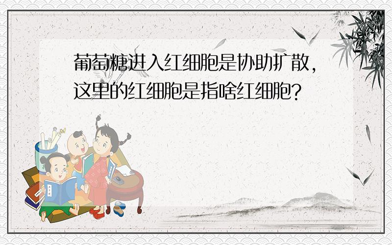 葡萄糖进入红细胞是协助扩散,这里的红细胞是指啥红细胞?