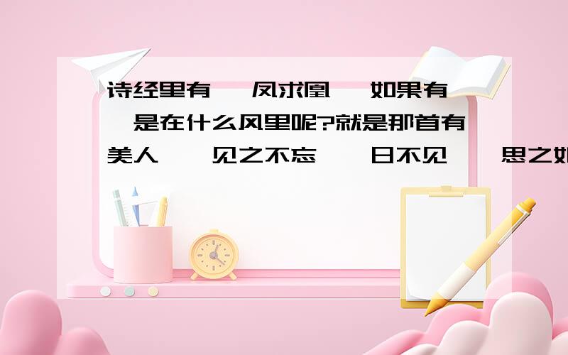 诗经里有《 凤求凰》 如果有,是在什么风里呢?就是那首有美人兮,见之不忘,一日不见兮,思之如狂.凤飞遨翔兮,四海求凰,无