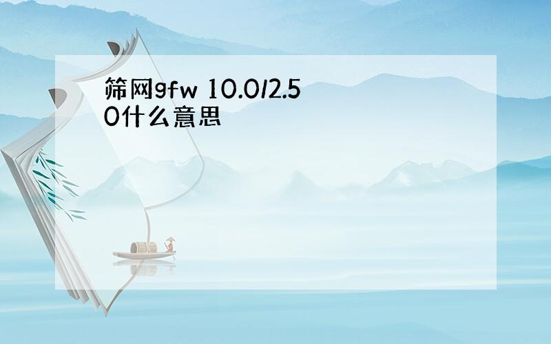 筛网gfw 10.0/2.50什么意思