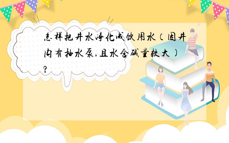 怎样把井水净化成饮用水（因井内有抽水泵,且水含碱量较大)?