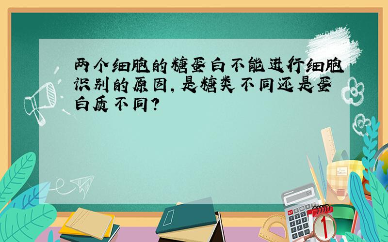 两个细胞的糖蛋白不能进行细胞识别的原因,是糖类不同还是蛋白质不同?