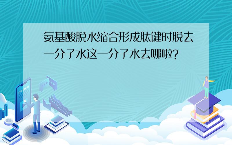 氨基酸脱水缩合形成肽键时脱去一分子水这一分子水去哪啦?