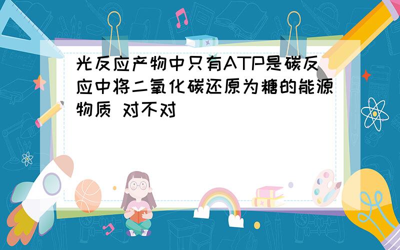 光反应产物中只有ATP是碳反应中将二氧化碳还原为糖的能源物质 对不对