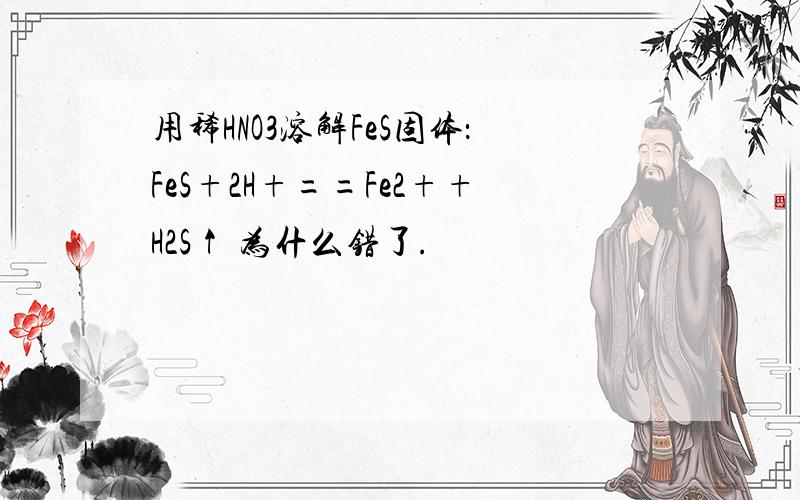 用稀HNO3溶解FeS固体：FeS+2H+==Fe2++H2S↑ 为什么错了.