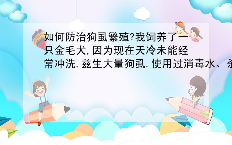 如何防治狗虱繁殖?我饲养了一只金毛犬,因为现在天冷未能经常冲洗,兹生大量狗虱.使用过消毒水、杀虫药均未奏效.