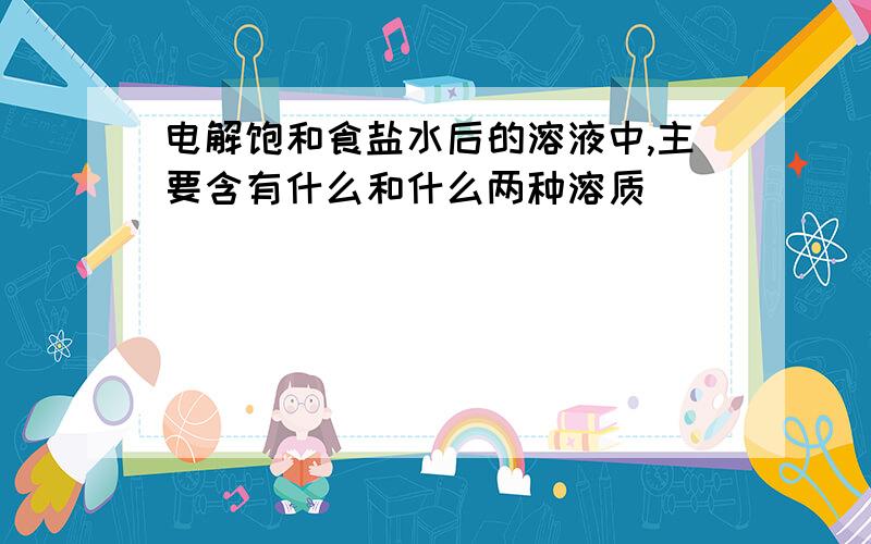 电解饱和食盐水后的溶液中,主要含有什么和什么两种溶质