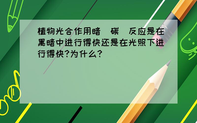 植物光合作用暗（碳）反应是在黑暗中进行得快还是在光照下进行得快?为什么?