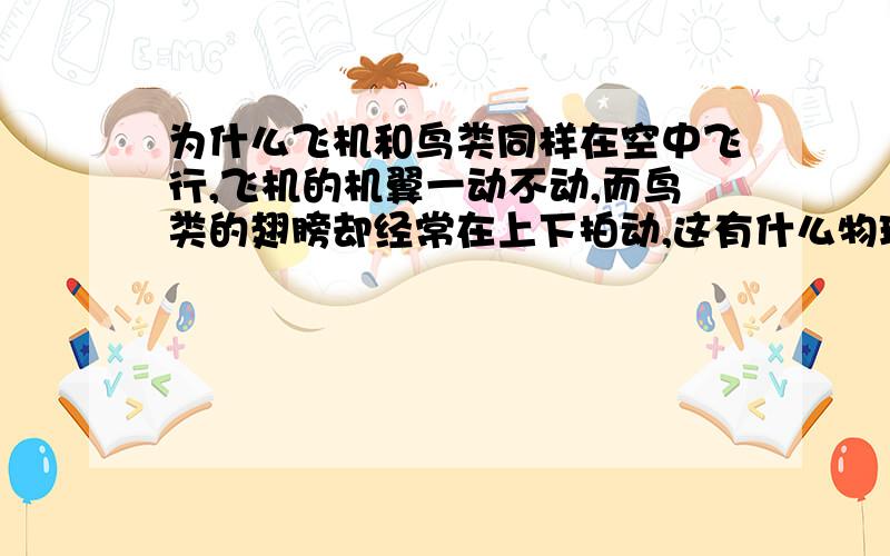 为什么飞机和鸟类同样在空中飞行,飞机的机翼一动不动,而鸟类的翅膀却经常在上下拍动,这有什么物理道理