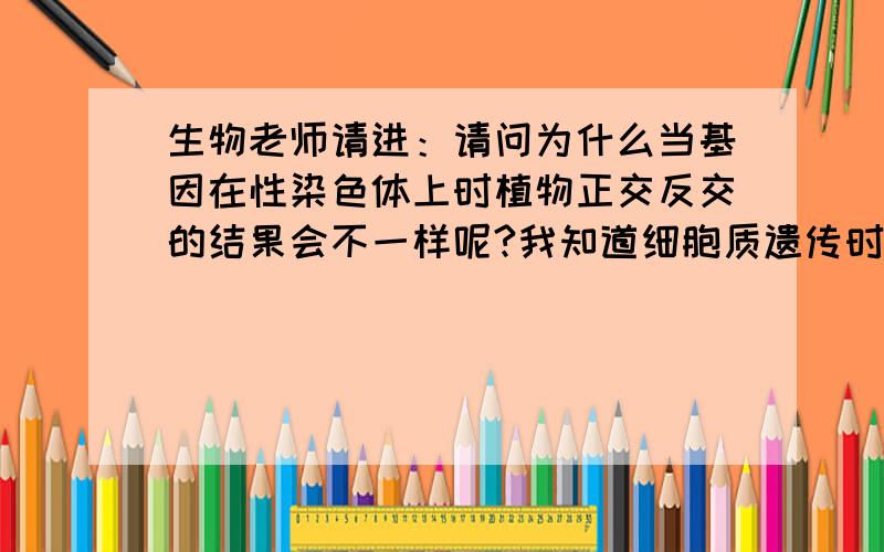 生物老师请进：请问为什么当基因在性染色体上时植物正交反交的结果会不一样呢?我知道细胞质遗传时会不...