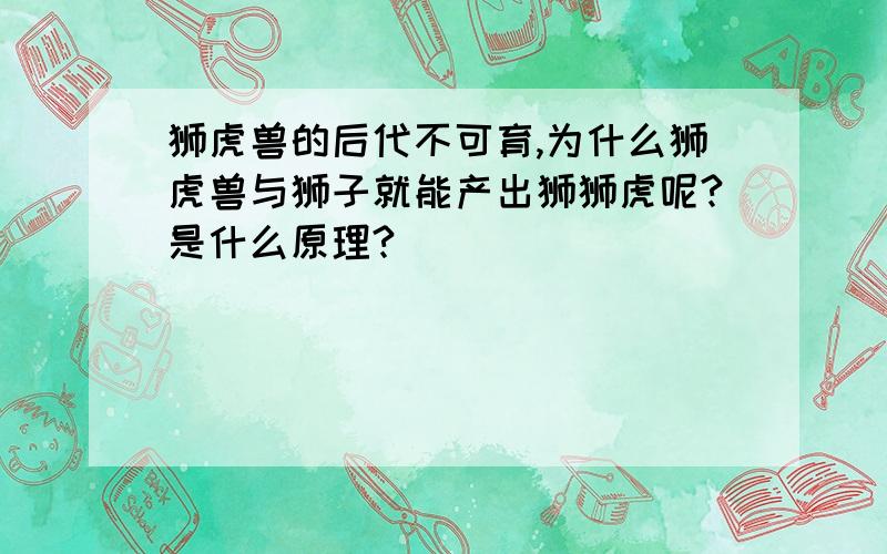 狮虎兽的后代不可育,为什么狮虎兽与狮子就能产出狮狮虎呢?是什么原理?