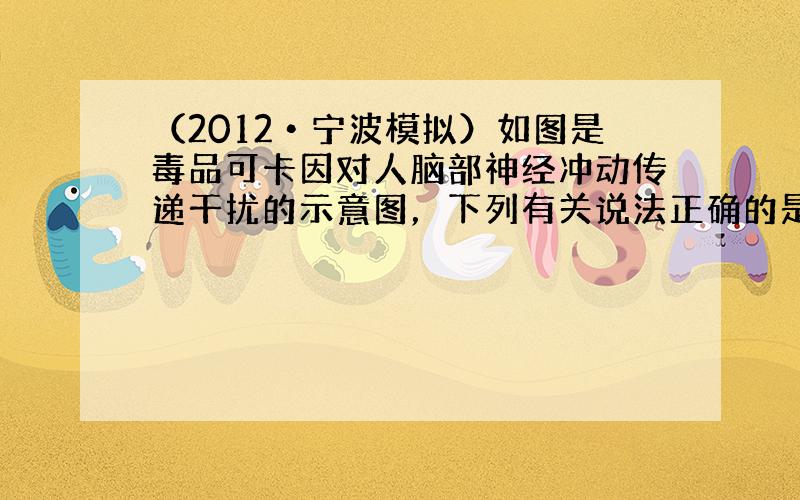 （2012•宁波模拟）如图是毒品可卡因对人脑部神经冲动传递干扰的示意图，下列有关说法正确的是（　　）