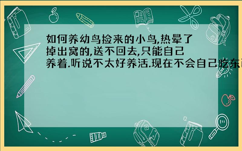 如何养幼鸟捡来的小鸟,热晕了掉出窝的,送不回去,只能自己养着.听说不太好养活.现在不会自己吃东西.我只能喂些泡过的米饭.