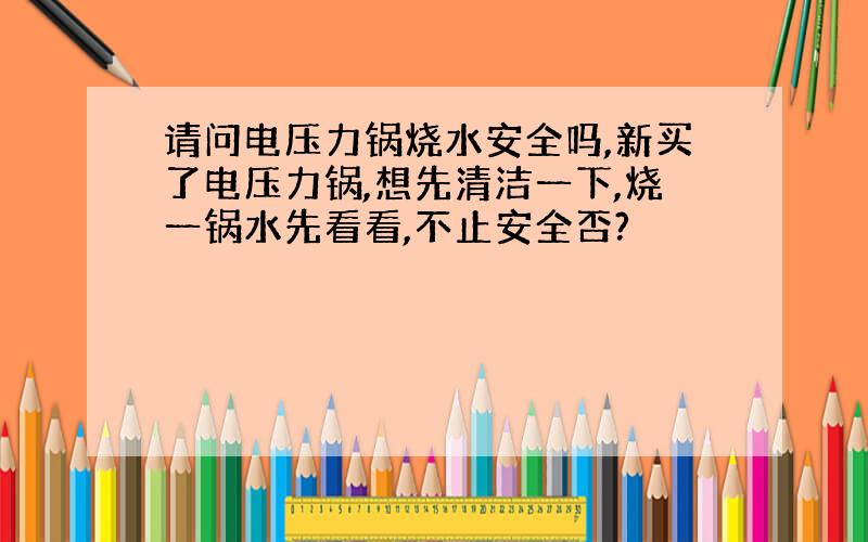 请问电压力锅烧水安全吗,新买了电压力锅,想先清洁一下,烧一锅水先看看,不止安全否?