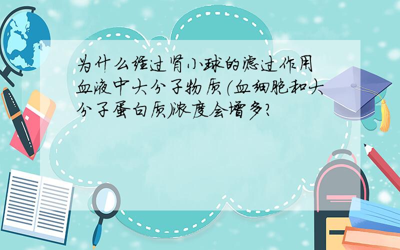 为什么经过肾小球的滤过作用 血液中大分子物质（血细胞和大分子蛋白质）浓度会增多?