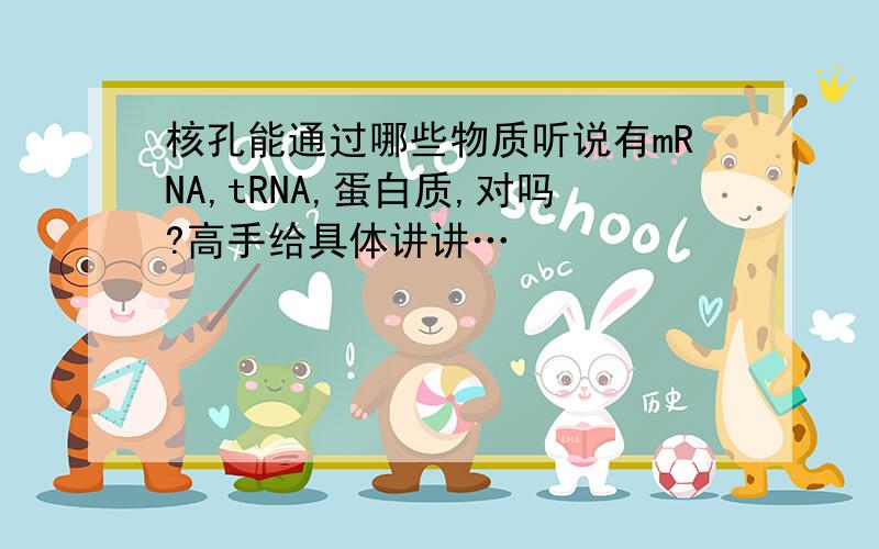 核孔能通过哪些物质听说有mRNA,tRNA,蛋白质,对吗?高手给具体讲讲…