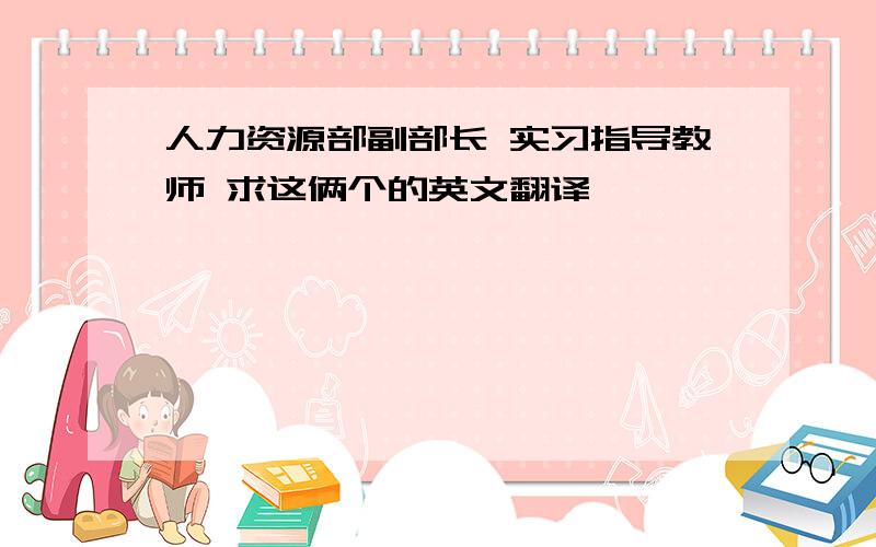 人力资源部副部长 实习指导教师 求这俩个的英文翻译