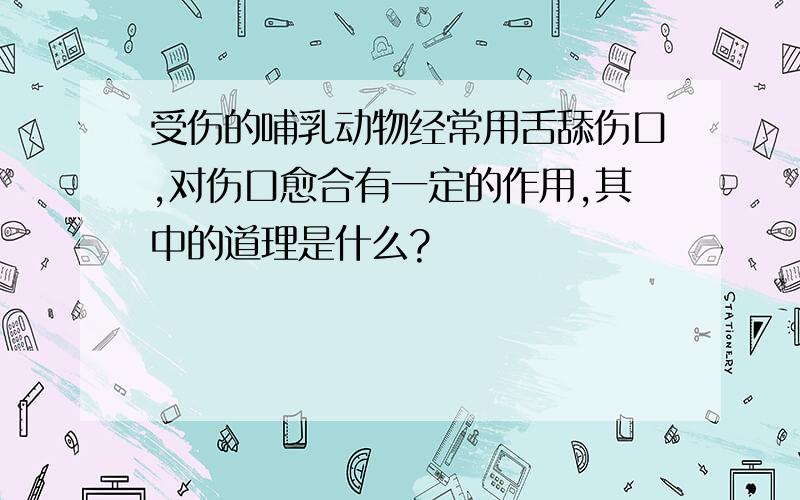 受伤的哺乳动物经常用舌舔伤口,对伤口愈合有一定的作用,其中的道理是什么?