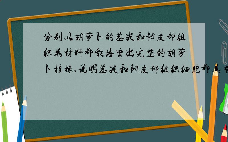 分别以胡萝卜的茎尖和韧皮部组织为材料都能培育出完整的胡萝卜植株,说明茎尖和韧皮部组织细胞都具有A周期性 B稳定性 C全能