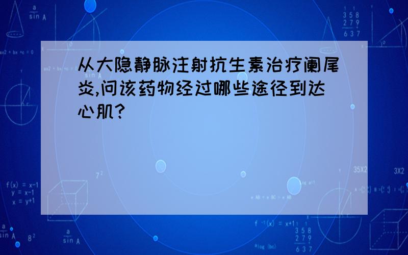 从大隐静脉注射抗生素治疗阑尾炎,问该药物经过哪些途径到达心肌?