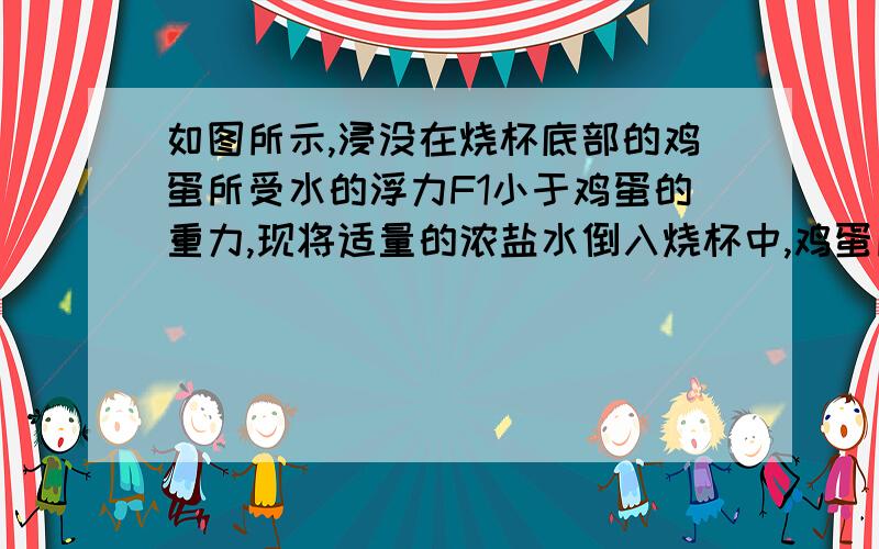 如图所示,浸没在烧杯底部的鸡蛋所受水的浮力F1小于鸡蛋的重力,现将适量的浓盐水倒入烧杯中,鸡蛋所受的浮